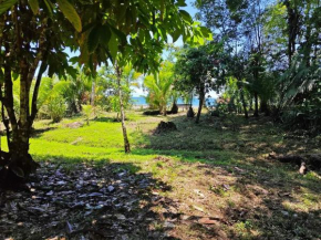 Selva Azul